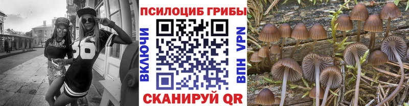 Псилоцибиновые грибы Magic Shrooms  сколько стоит  гидра вход  Сычёвка 